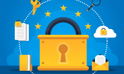 Compliance with GDPR and navigation through legal standards in apprenticeship data management